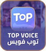 توب فويس